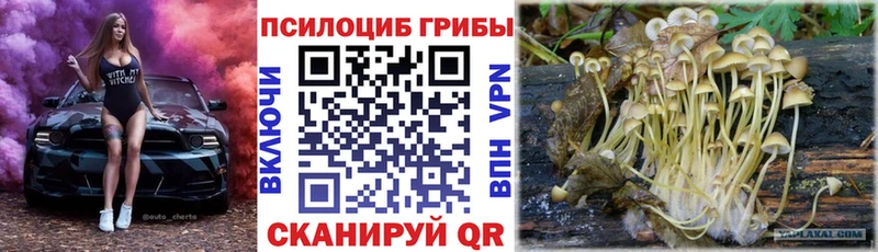 Псилоцибиновые грибы мухоморы  Вихоревка 